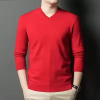 羊毛衫男士V领毛衣秋冬季新款鸡心领加厚保暖可机洗羊毛衫男