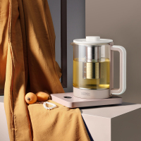 膳魔师(THERMOS)液体加热器(养生壶)800W-EHA-1611E-SP