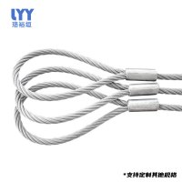 珞裕垣 钢丝套绳 1m*8mm 根