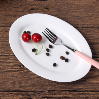 镁白12寸装鱼盘子