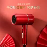 西屋-电吹风--H101