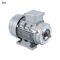 威远 电动机 Y2 71-4 0.37KW 380V 1台