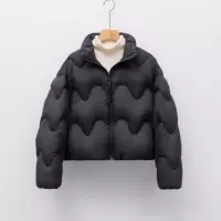 90白鸭绒短款立领泡芙羽绒服新国标波浪线羽绒外套女_00