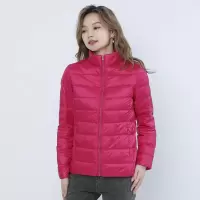 女式简约羽绒纯色女立领女装轻薄款羽绒服女士加大码_745402