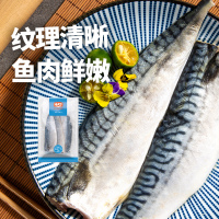 海天下青花鱼300g*2盒肉质鲜美天然捕捞急速冷冻锁鲜