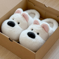 踩屎感棉拖鞋女款秋冬季2025新款室内家居可爱厚底保暖毛绒棉拖女