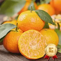 [熊猫鸟]广西砂糖橘新鲜水果 净重5斤 小果 单果25mm左右 当季整箱手撕沙糖桔柑橘子金秋现摘纯甜