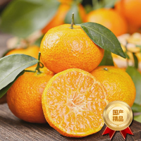 [熊猫鸟]广西砂糖橘新鲜水果 净重5斤 中大果 单果35mm+ 当季整箱手撕沙糖桔柑橘子金秋现摘纯甜