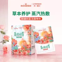 海氏海诺 玫瑰蒸汽眼罩 10片/盒