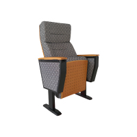 臻远 ZY-LTY-66 礼堂椅剧院椅会议室椅子灰色不带前写字板单人位