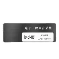 泰迪信 DSJ-H60 电子工牌声音采集