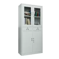 臻远 ZY50212002钢制文件柜办公柜铁皮资料柜档案柜储物柜 中二斗