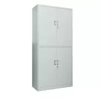 臻远 ZY50212004钢制文件柜办公柜铁皮资料柜档案柜储物柜 通双节