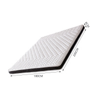 臻远ZY-ML-M0205 3E椰棕床垫 180*200*8cm(单位:张)白色