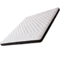 臻远ZY-ML-M0206 3E椰棕床垫 90*190*10cm(单位:张)白色