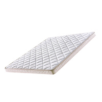 臻远 ZY3120206 棕垫 3E椰棕床垫 1200*2000*150