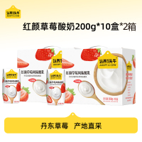 认养一头牛红颜草莓风味酸奶200g*10盒*2箱学生儿童营养早餐奶送礼9月