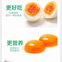 新鲜土鸡蛋正宗农家散养 散养土鸡蛋40枚