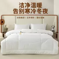 ANCHOW安巢 羊毛混合冬被 AW10706