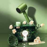 美的 MB-AJ0502 IP电吹风-爱丽丝电吹风