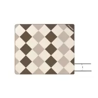 外交官(Diplomat) 防潮野餐垫200*150cm 米配咖DFJ-302