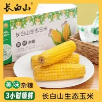 长白山绿色生态玉米装10穗装约2.8KG