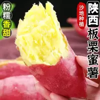 [西沛生鲜]陕西正宗板栗薯 净重4.5斤 大果 新鲜小香薯蜜薯桥头地瓜农家自种沙地板栗薯