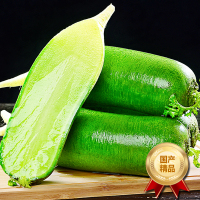 [西沛生鲜]水果萝卜 净重2.5斤 新鲜生吃青脆甜大冰淇淋水果型胡白特产蔬菜