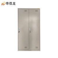 帝德龙 储物柜更衣柜2门 900*500*2000mm/个