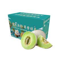 礼盒装[熊猫鸟]新鲜玉菇甜瓜 净重7.5斤 1-4个 应季水果 新鲜甜瓜 鲜果
