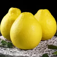 [熊猫鸟]新鲜沙田柚 白心柚 净重4.7斤 特大果 2个 新鲜柚子水果 蜜柚