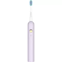 西屋 Westinghouse 电动牙刷 WT-0506