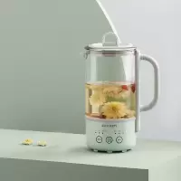 北鼎(BUYDEEM) K31F 养生壶 浅杉绿