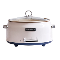 施耐德分体电火锅SWK-XNL03