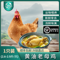 [苏鲜生推荐]三物纪 皖南黄油老母鸡2.6-2.9斤/只 1只装 新鲜现杀冷冻净膛慢养走地鸡