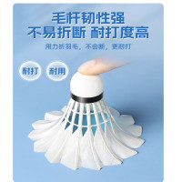 李宁羽毛球12支装