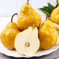 [熊猫鸟]山东中华丑梨 泡沫箱 净重8.5斤 特大果 单果85-90mm 单果中华太婆梨莱阳现摘啤梨软梨子新鲜