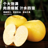 礼盒装[熊猫鸟]新鲜维纳斯苹果 净重6斤 脆甜可口