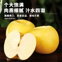 礼盒装[熊猫鸟]新鲜维纳斯苹果 净重6斤 脆甜可口