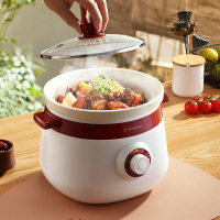 西屋 WDG03L21 电炖锅