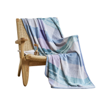 富安娜单层法兰绒毯\塞纳格调