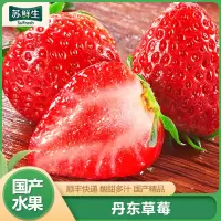 [苏鲜生]顺丰快递 丹东草莓 净重2.8斤 单果20-30g新鲜水果99草莓红颜奶油九九甜牛奶草莓