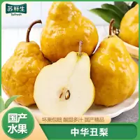 [苏鲜生]山东中华丑梨 泡沫箱 净重8.5斤 大果 单果80-85mm 单果中华太婆梨莱阳现摘啤梨软梨子新鲜