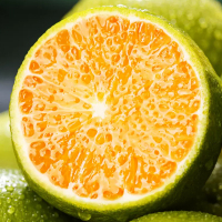 [西沛生鲜]正宗云南冰糖橙 净重3斤 特大果 单果75mm左右 哀牢山新鲜应季水果