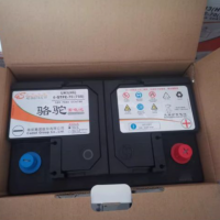 骆驼蓄电池6-QTPE-70