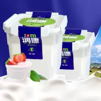天润 润康全脂风味发酵乳1kg*2桶 新疆方桶老酸奶风味酸奶大桶装