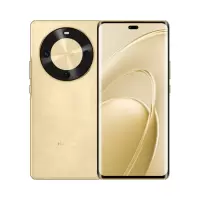 [智能手机]华为畅享 70X 尊享版 (BRE-AL80a) 256GB 流沙金