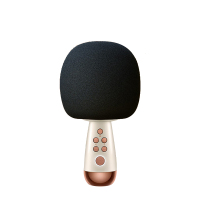 唱吧 小巨蛋麦克风G2升级版白金色