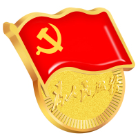 苏宁宜品 党员徽章团员徽章别针式徽章 [别针款]20枚装