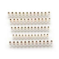 接线端子 20A黄铜 一条装